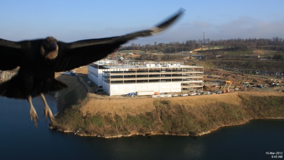A bird lands on our site camera during construction of the new endo headquarters